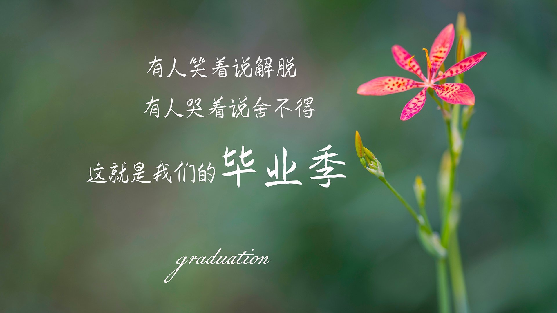 “青少年足球产业链不断完善，行业潜力巨大”，青少年足球发展趋势