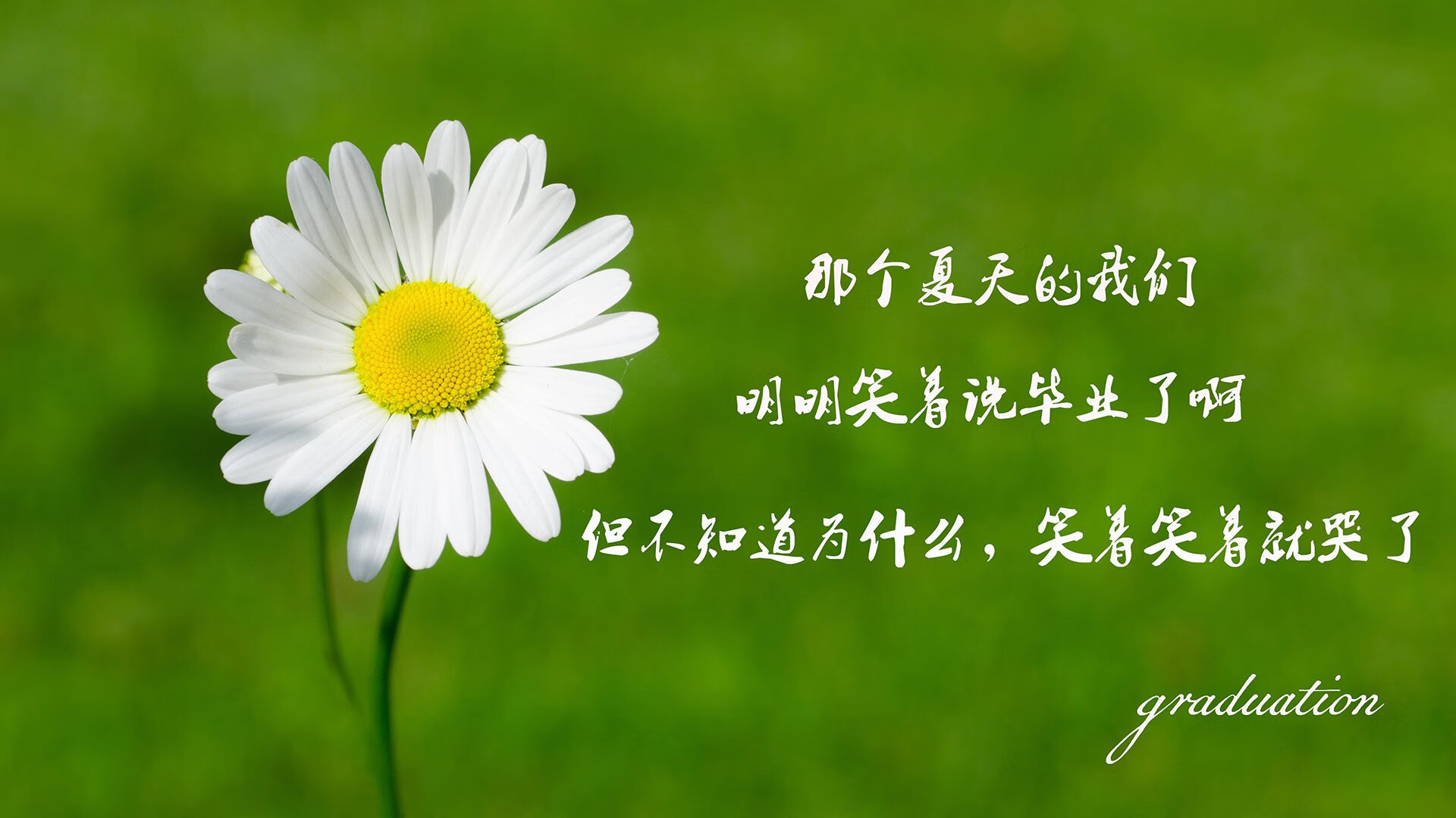 2025足球世俱杯官网-伊普斯维奇城防线稳固，力求保级，伊普斯维奇球衣