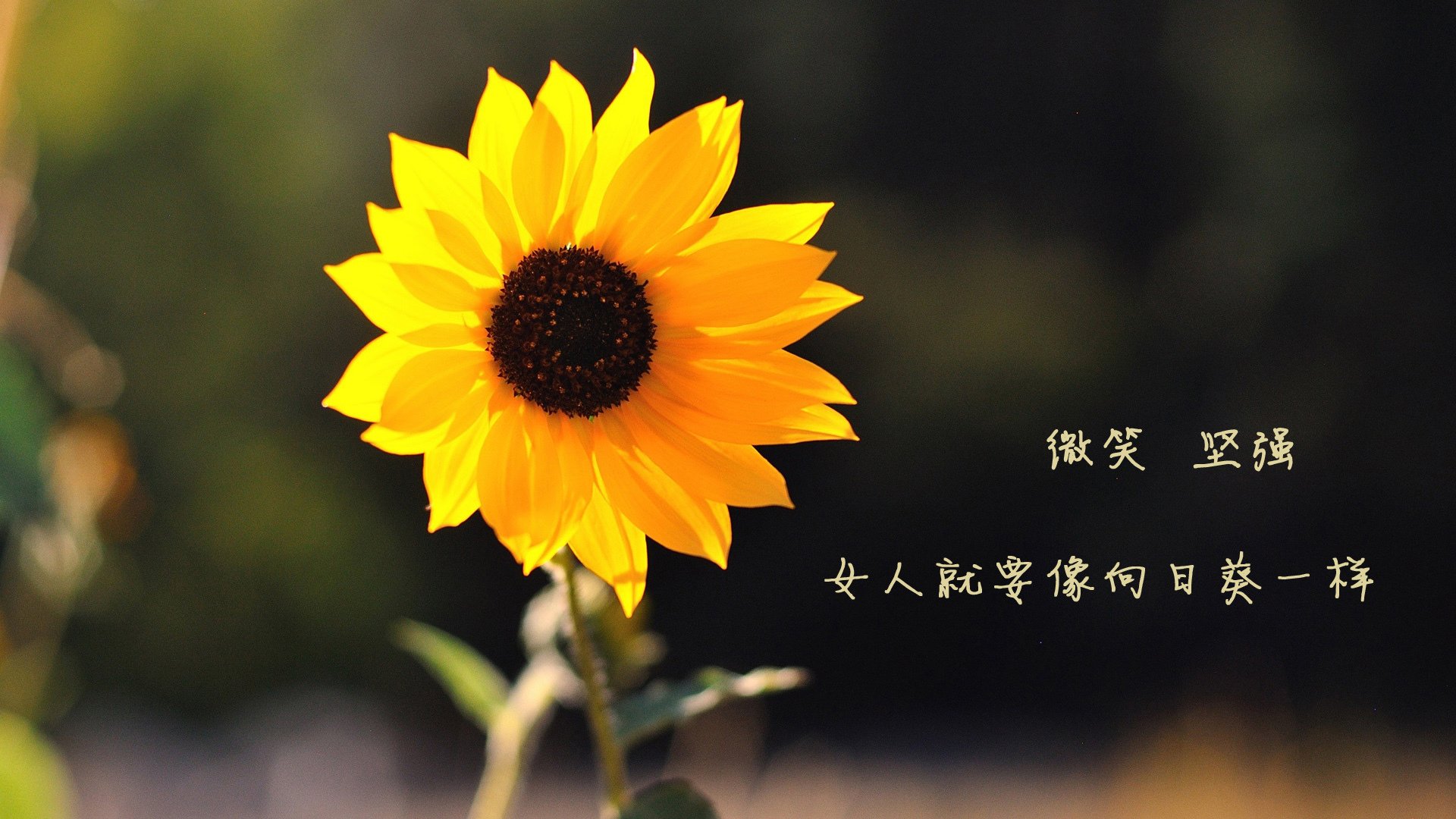 【年轻崛起】未来之星学丁俊晖：训练技巧大公开，丁俊晖成长之路