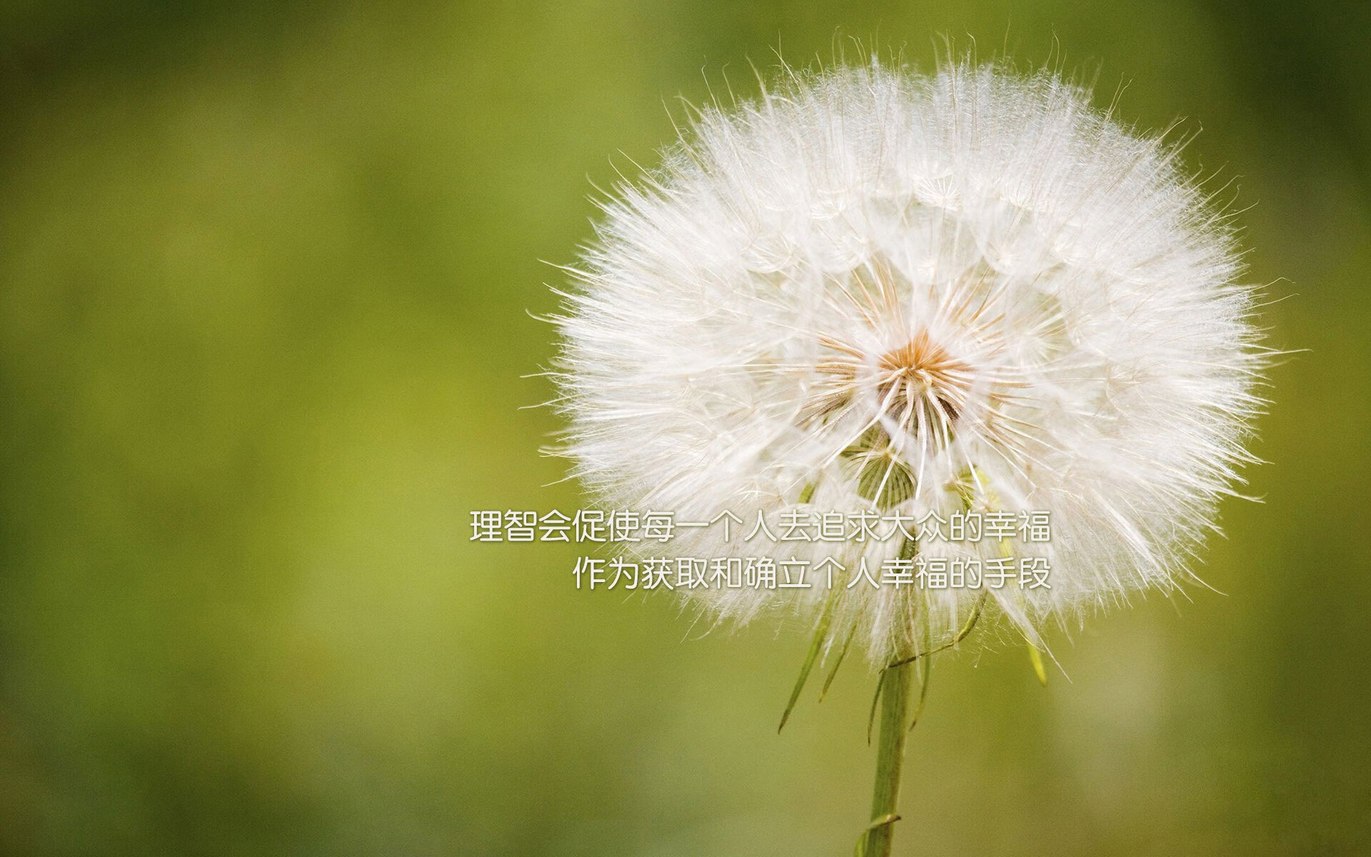 2025世俱杯对阵表-传统武术表演会，文化韵味在运动中绽放，年会武术表演