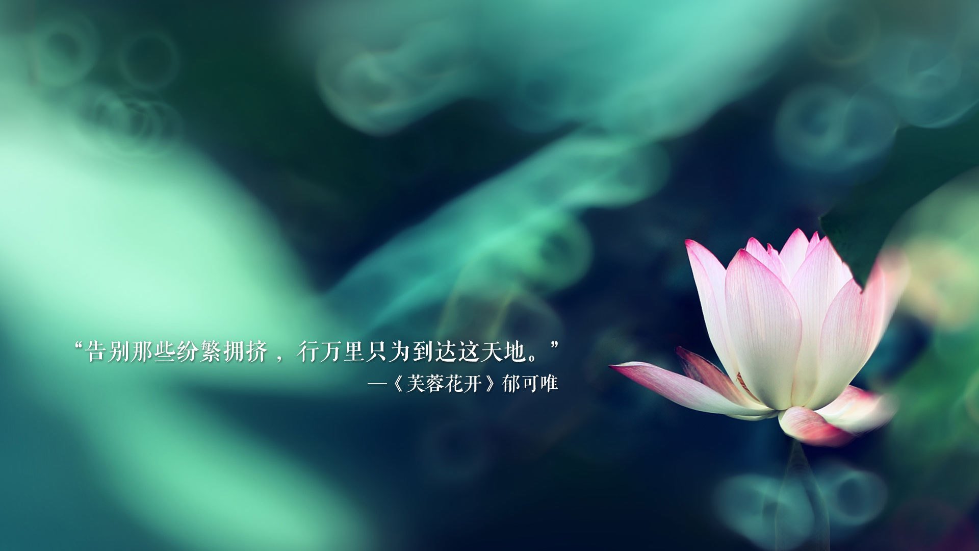 意甲新星崭露头角，精彩表现频频制造奇迹，意甲新赛季