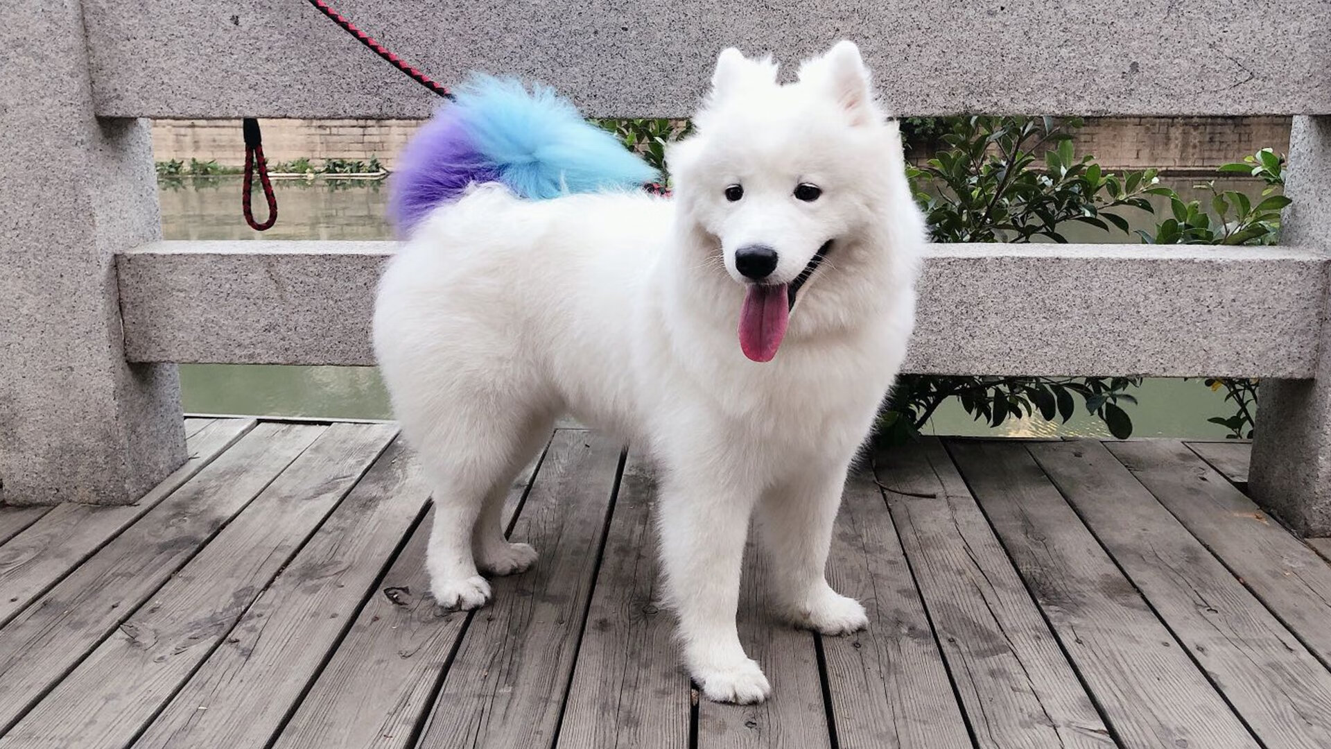 利物浦客场逼平沃特福德,遭遇阻击,利物浦vs沃特福德在线观看