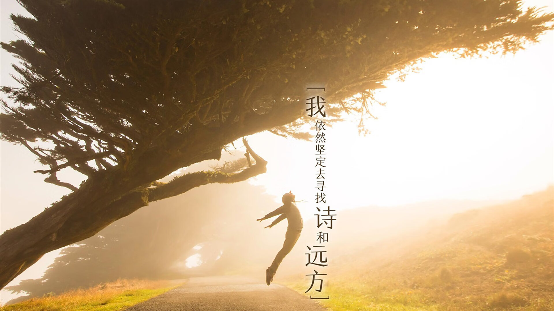 山西汾酒球队进攻端多点开花，山西汾酒队赛程
