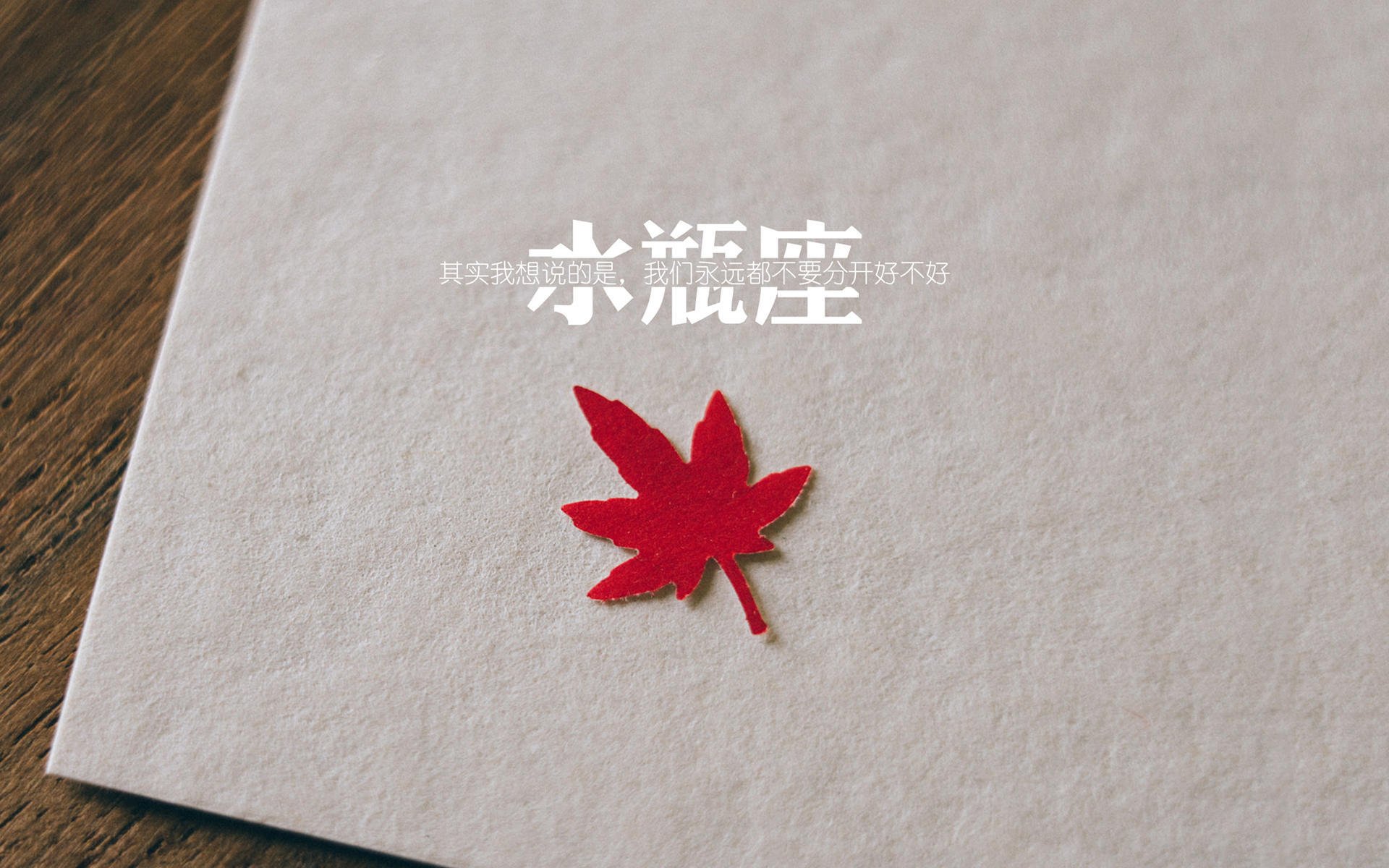 布拉德福德传控流畅，山谷之心期待突破，布拉德福德公园
