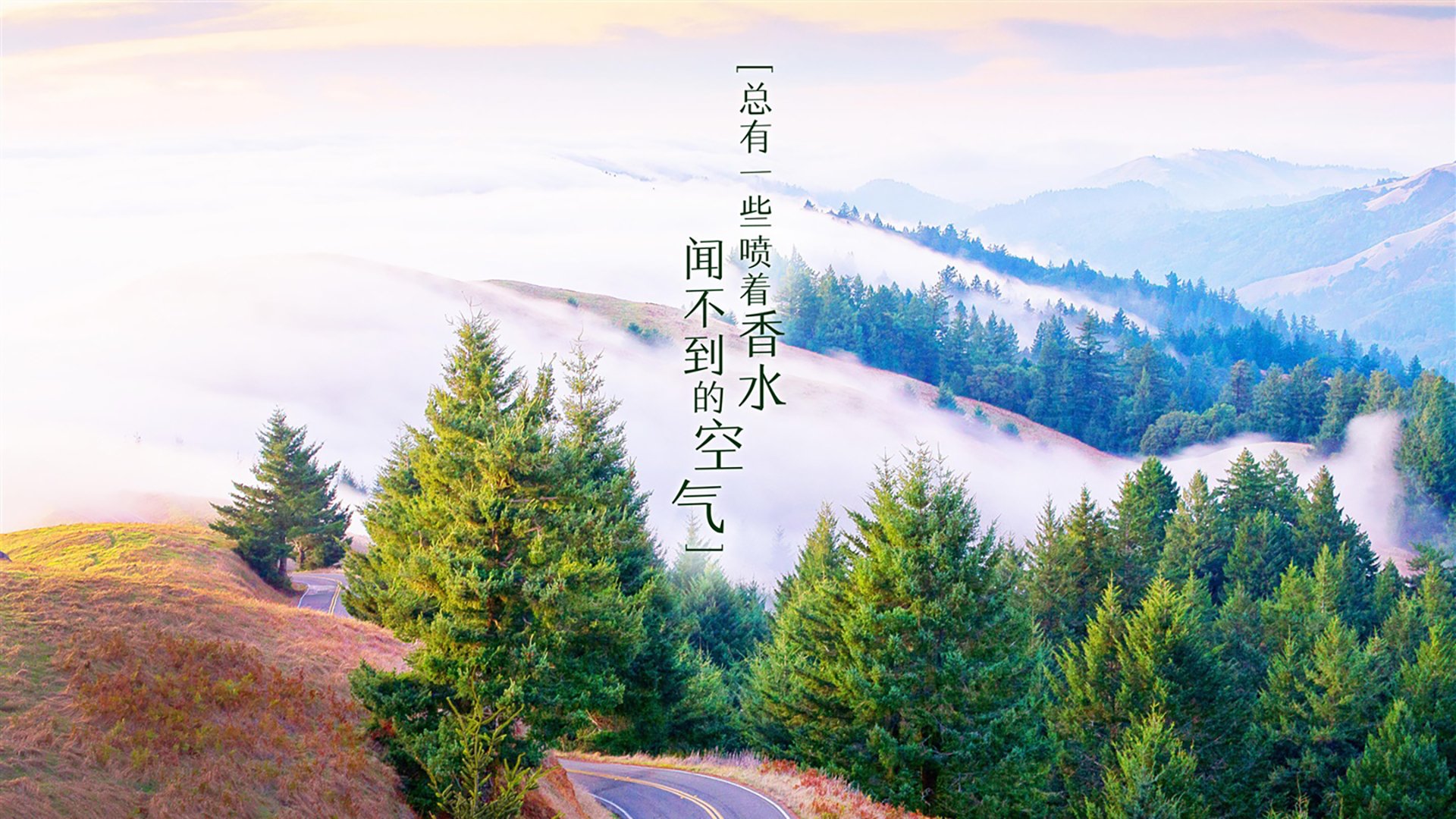 中超替补出场球员直接贡献率，中超球队为什么替补踢亚冠