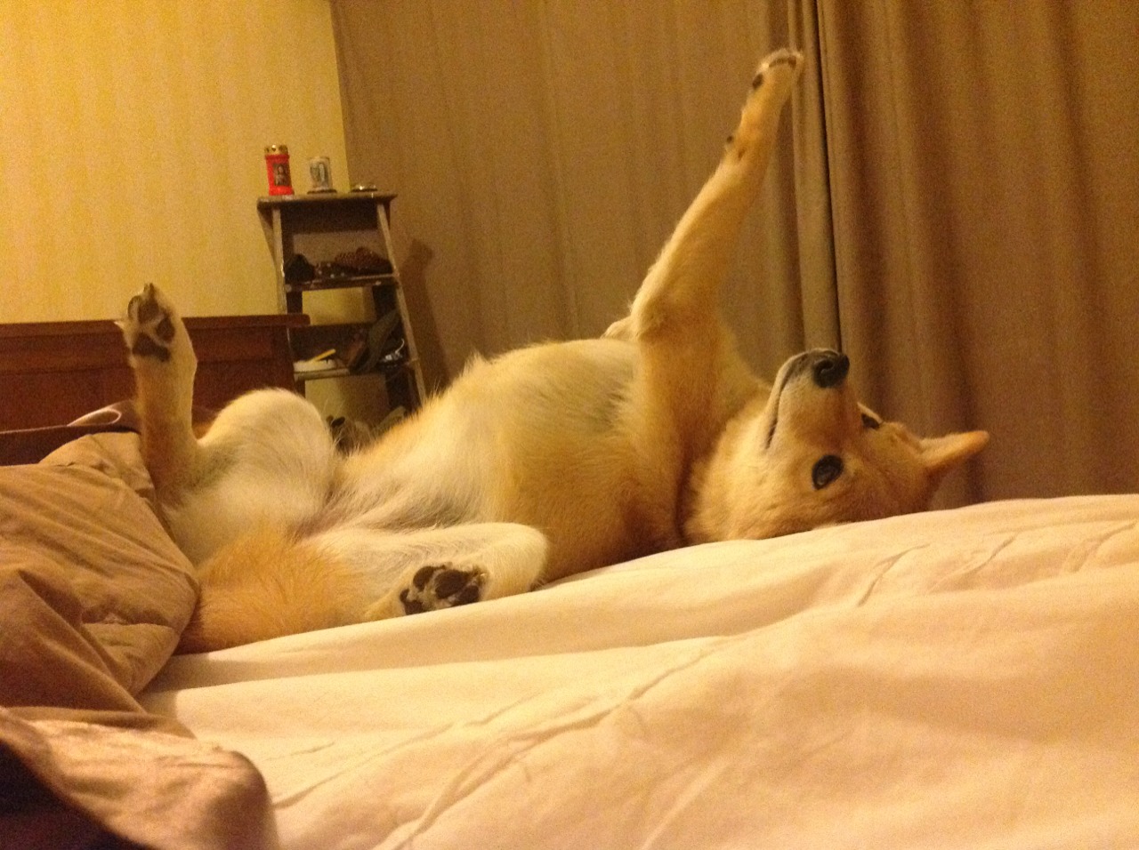 Cole Palmer成为决赛最佳球员，总决赛per排行