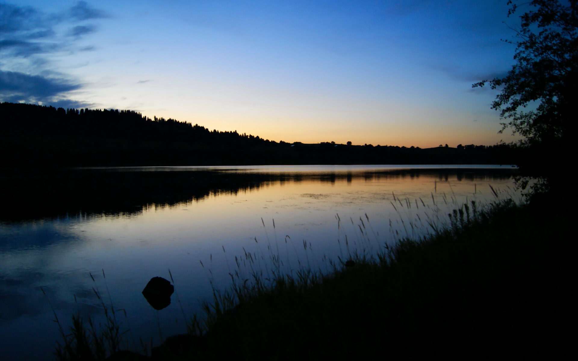 “金牛区城北体育馆：舞蹈和竞技的完美结合，运动舞蹈赛场热力四射”