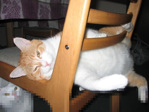 全国田径训练营主打专项能力模块训练，田径训练营报名