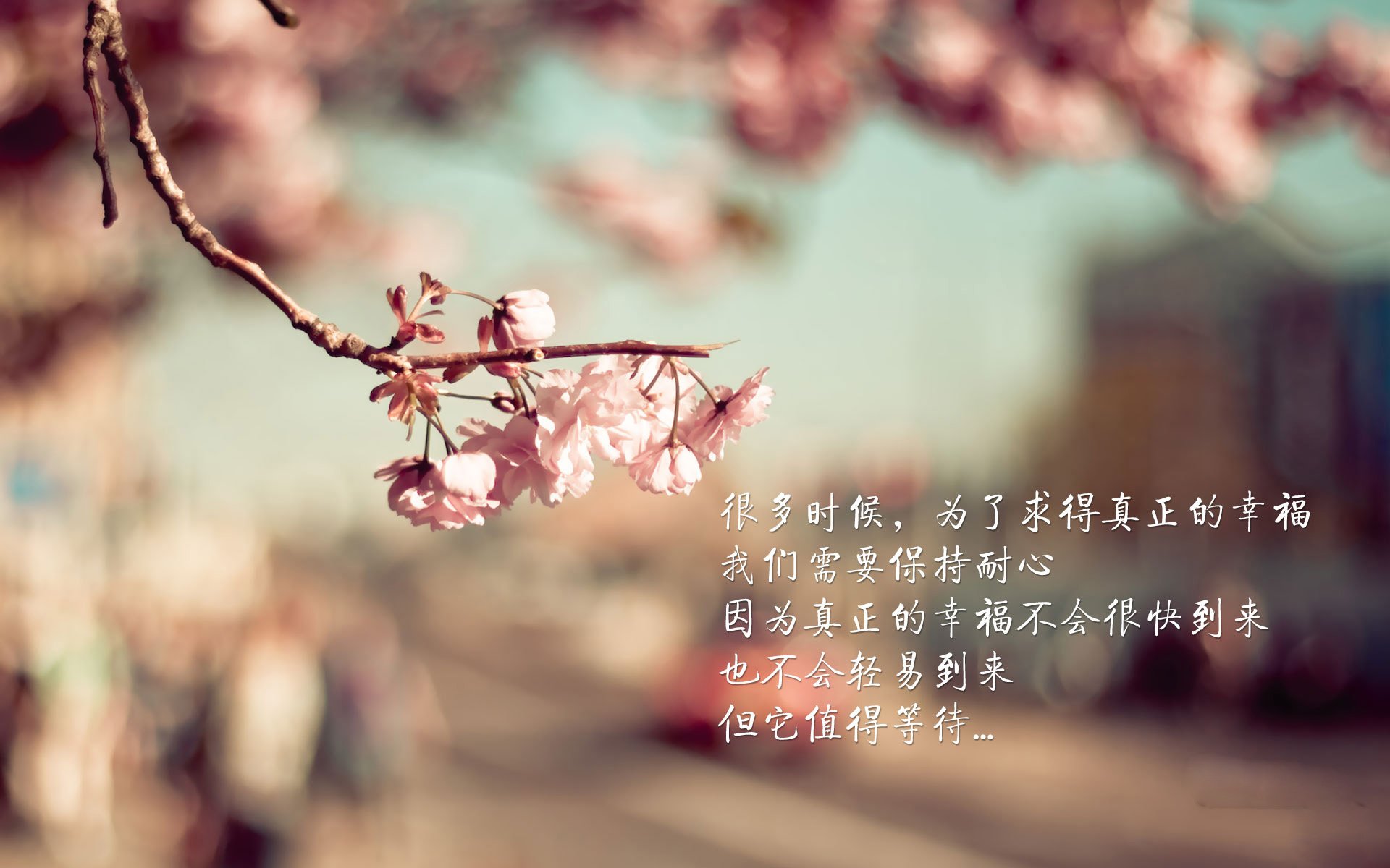 世俱杯直播-博卡青年多次造越位成功，博卡青年是什么意思